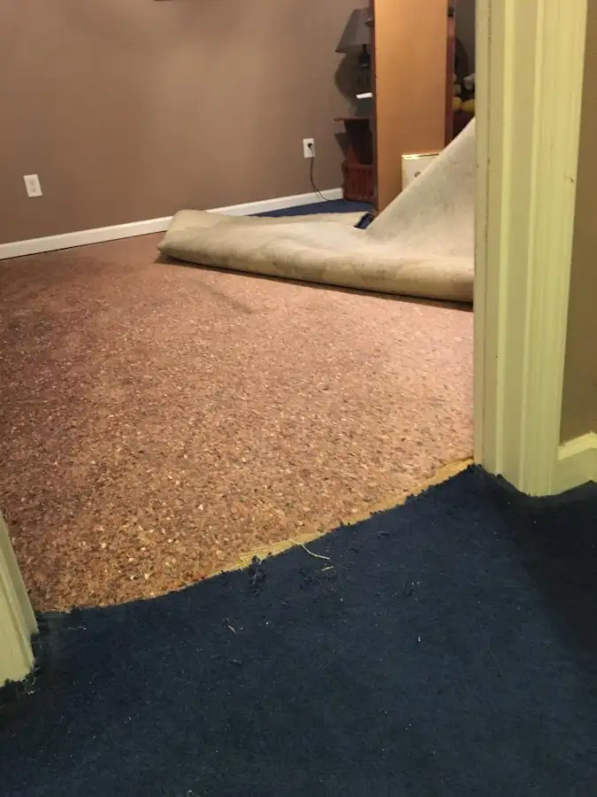 Carpet pad removal revealing water damage during Water Mitigation Services in Eucalyptus Hills