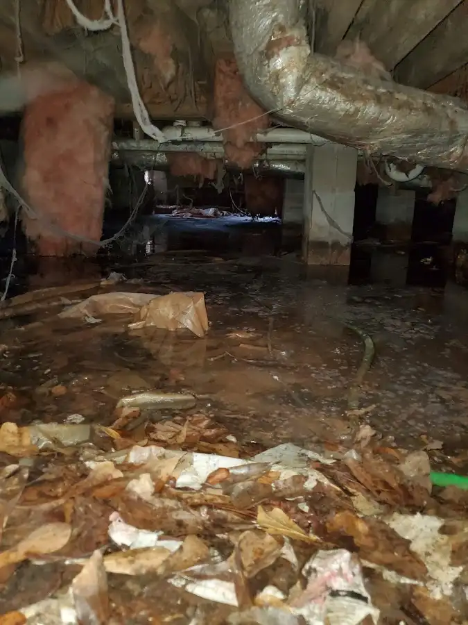 Crawl space flood assessment for Commercial Water Damage Restoration in Eucalyptus Hills